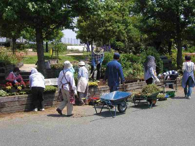 【常時】浜名湖ガーデンパーク ふれあい花壇ボランティア