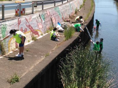【常時】浜松街中の新川の清掃ボランティア募集